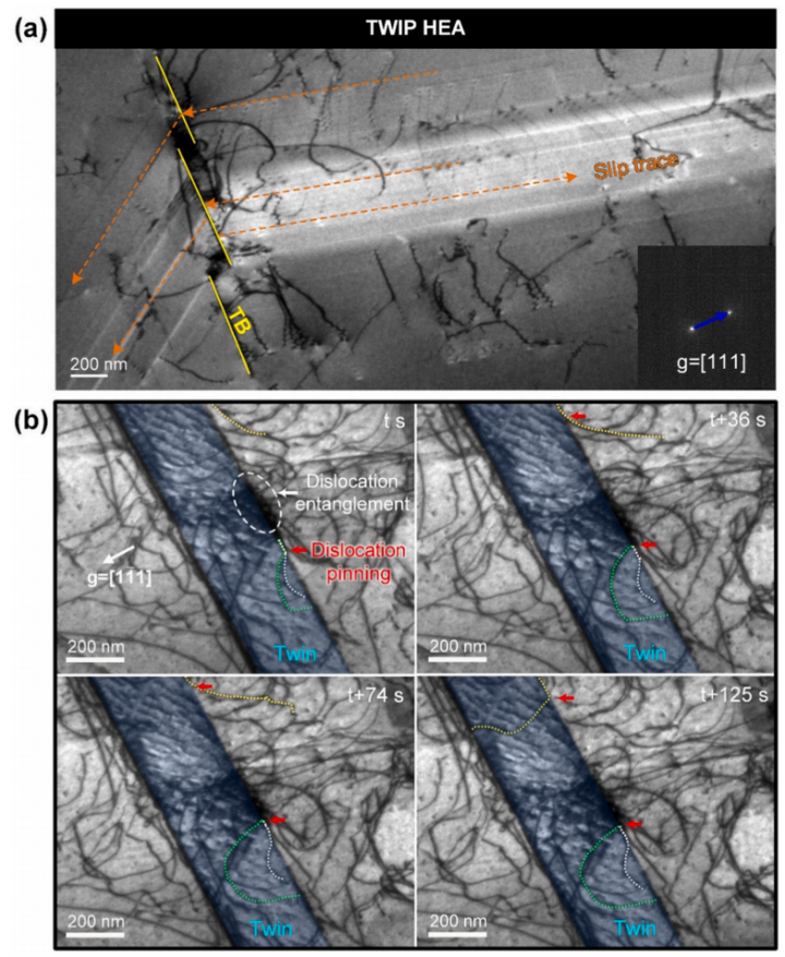 NiCoCrO合金与TWIP HEA的原位TEM拉伸实验