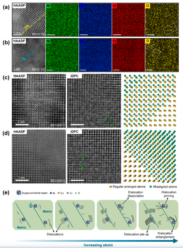 NiCoCrO合金位错-孪晶界相互作用的内在机制