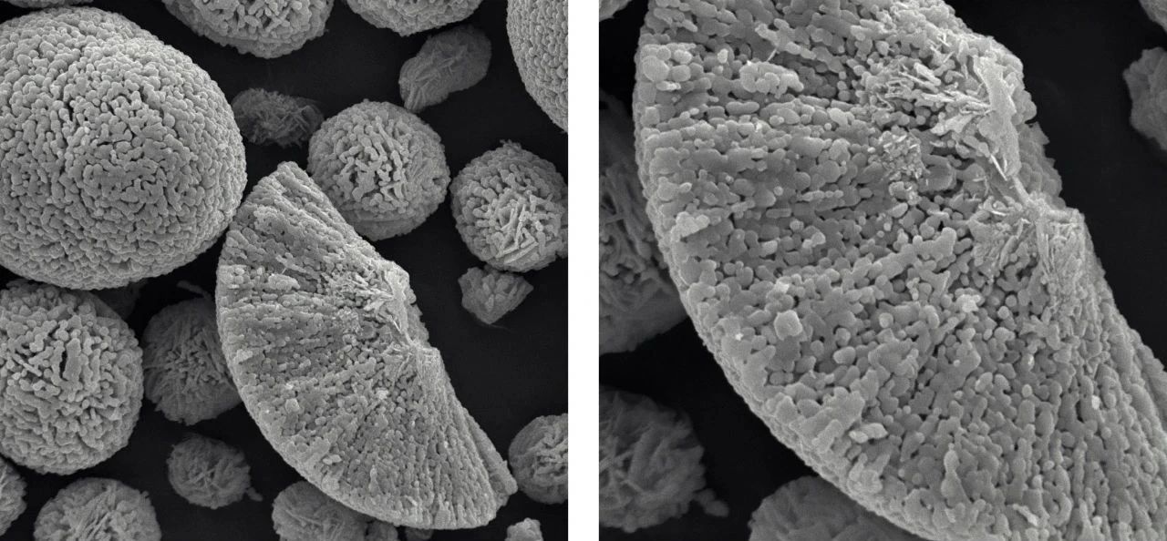 ZEM台扫锂电池表征部分案例
