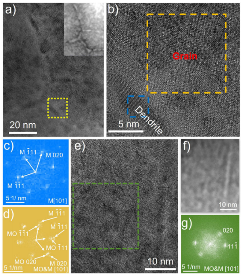 循环样品的结构表征图