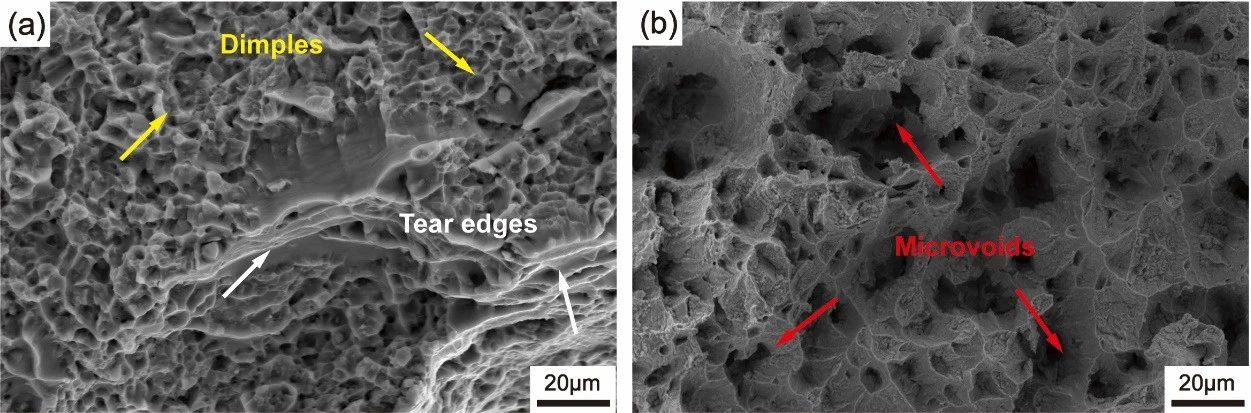 188博金宝网页官网原位SEM