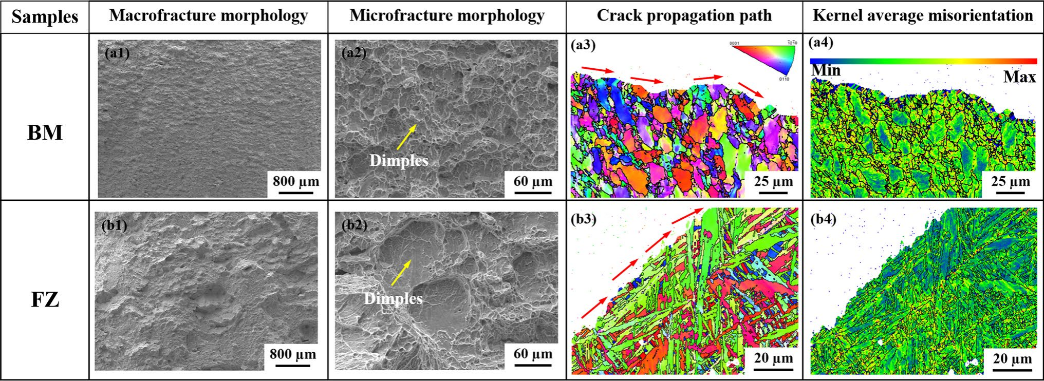 BM与FZ的断口形貌及裂纹扩展路径分析