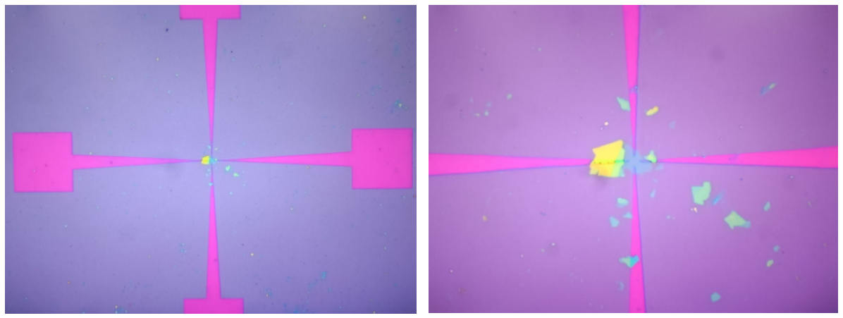 机械剥离的二维材料样品利用无掩模光刻机光刻电极并镀膜剥离的结果