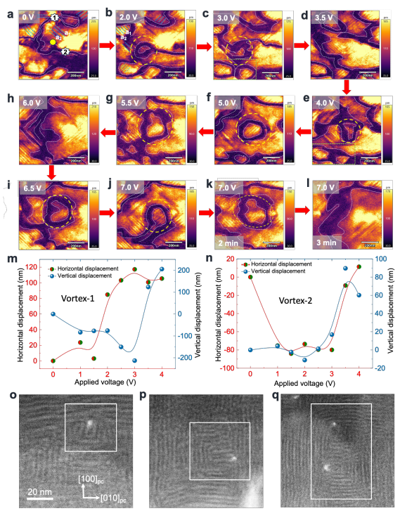 188博金宝网页官网原位TEM