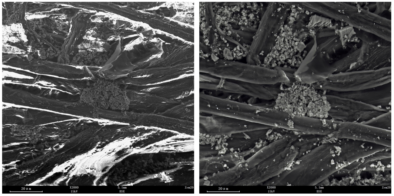 188博金宝网页官网扫描电镜
