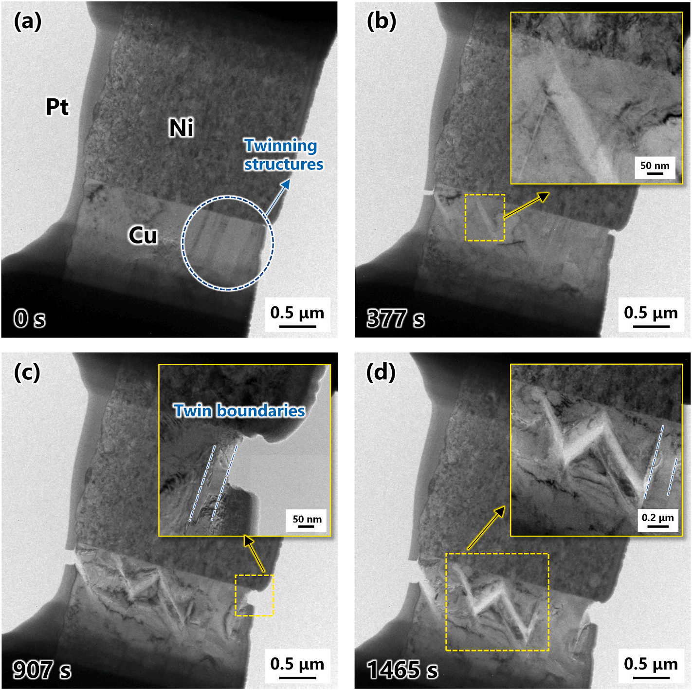 188博金宝网页官网原位TEM