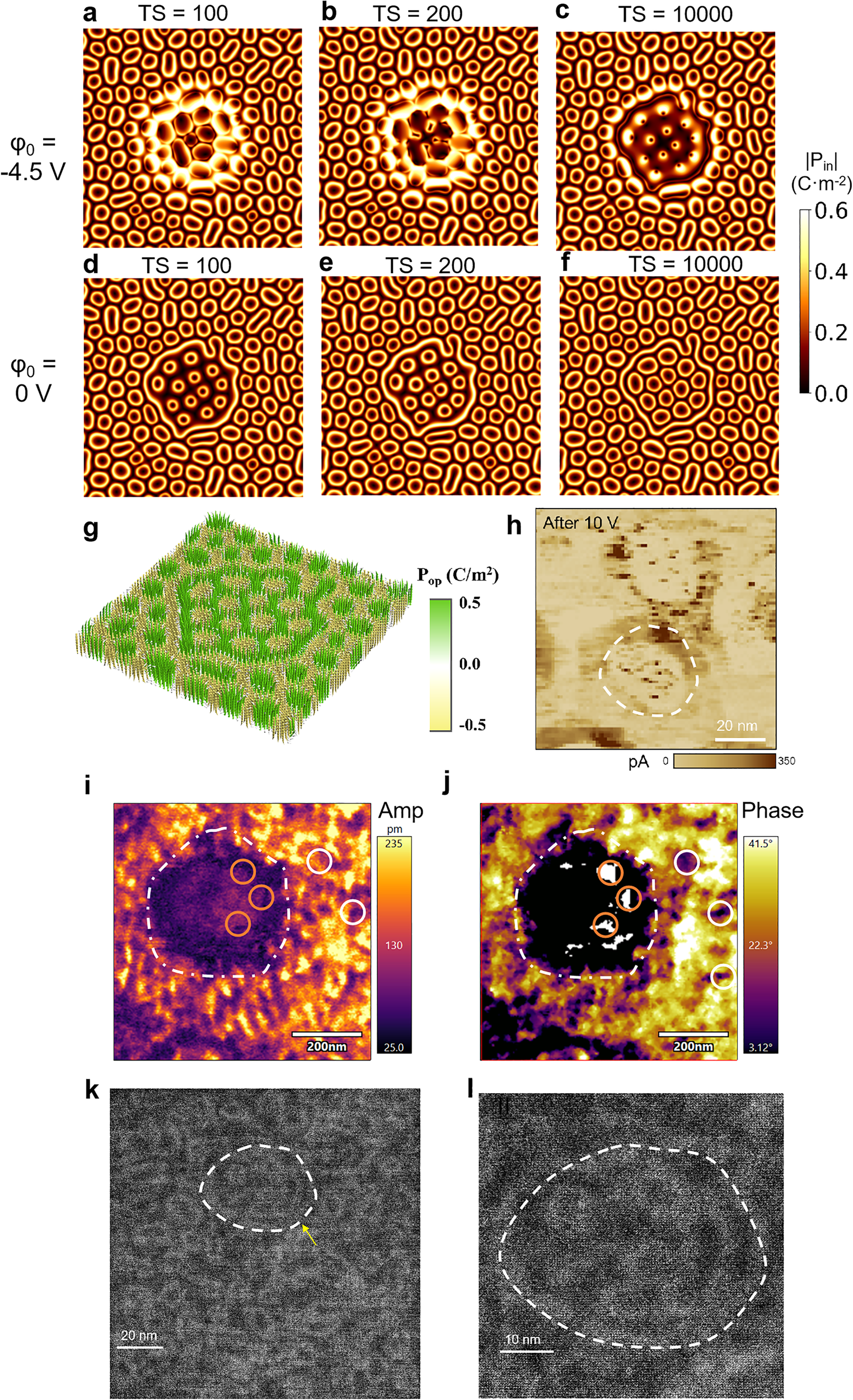 原位电子显微镜