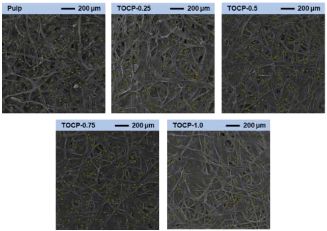 188博金宝网页官网ZEM系列扫描电镜 | 低介电常数可调 TEMPO 氧化纤维素手抄纸用于高性能印刷电子基板(图6) 6.png