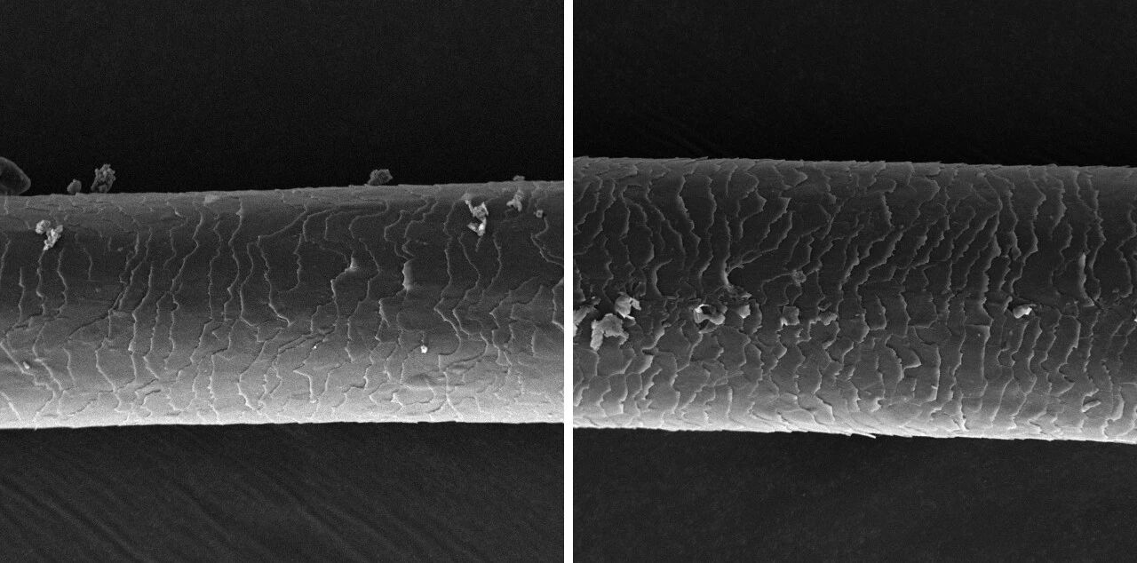 扫描电镜 扫描电镜